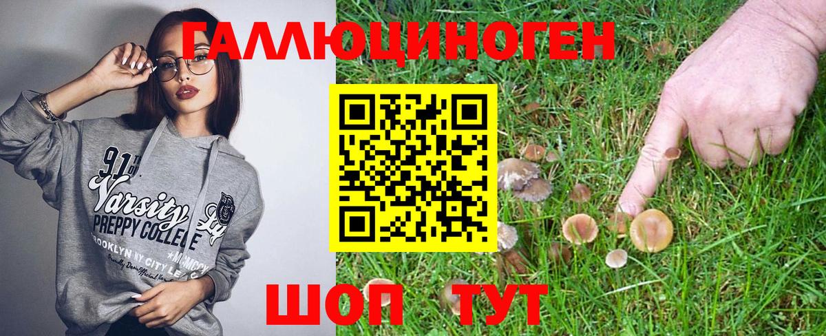 Псилоцибиновые грибы Psilocybe Вятские Поляны