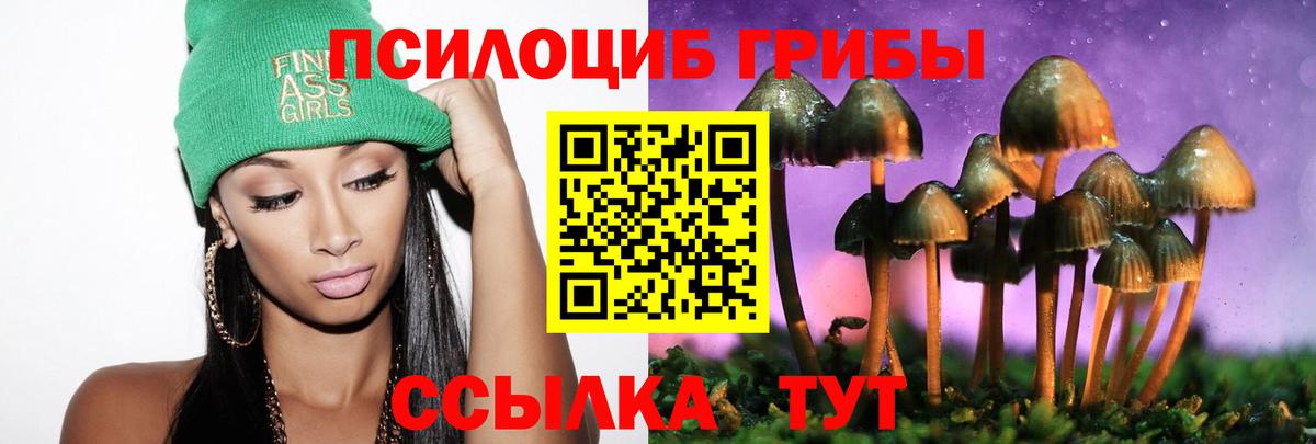 Вятские Поляны  Галлюциногенные грибы MAGIC MUSHROOMS  где продают   Вход с VPN  Псилоцибиновые грибы мицелий 